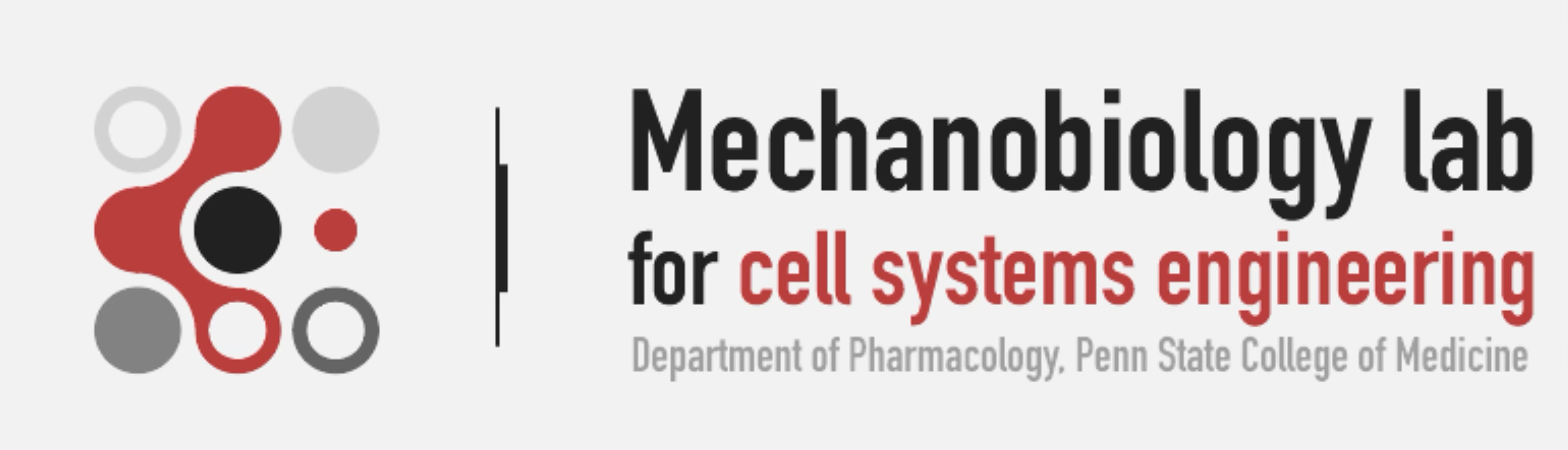 Mechanobiology lab for cell systems engineering. Department of Pharmacology, Penn State College of Medicine.